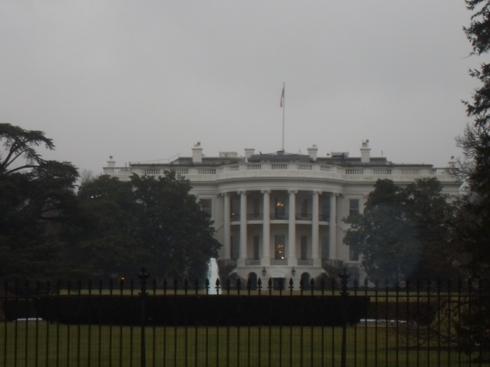 White House 